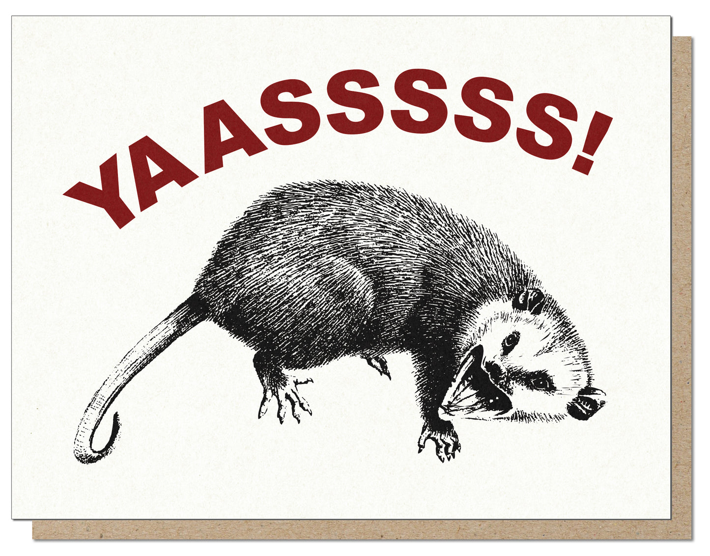 Yas Possum Any Occasion Greeting Card