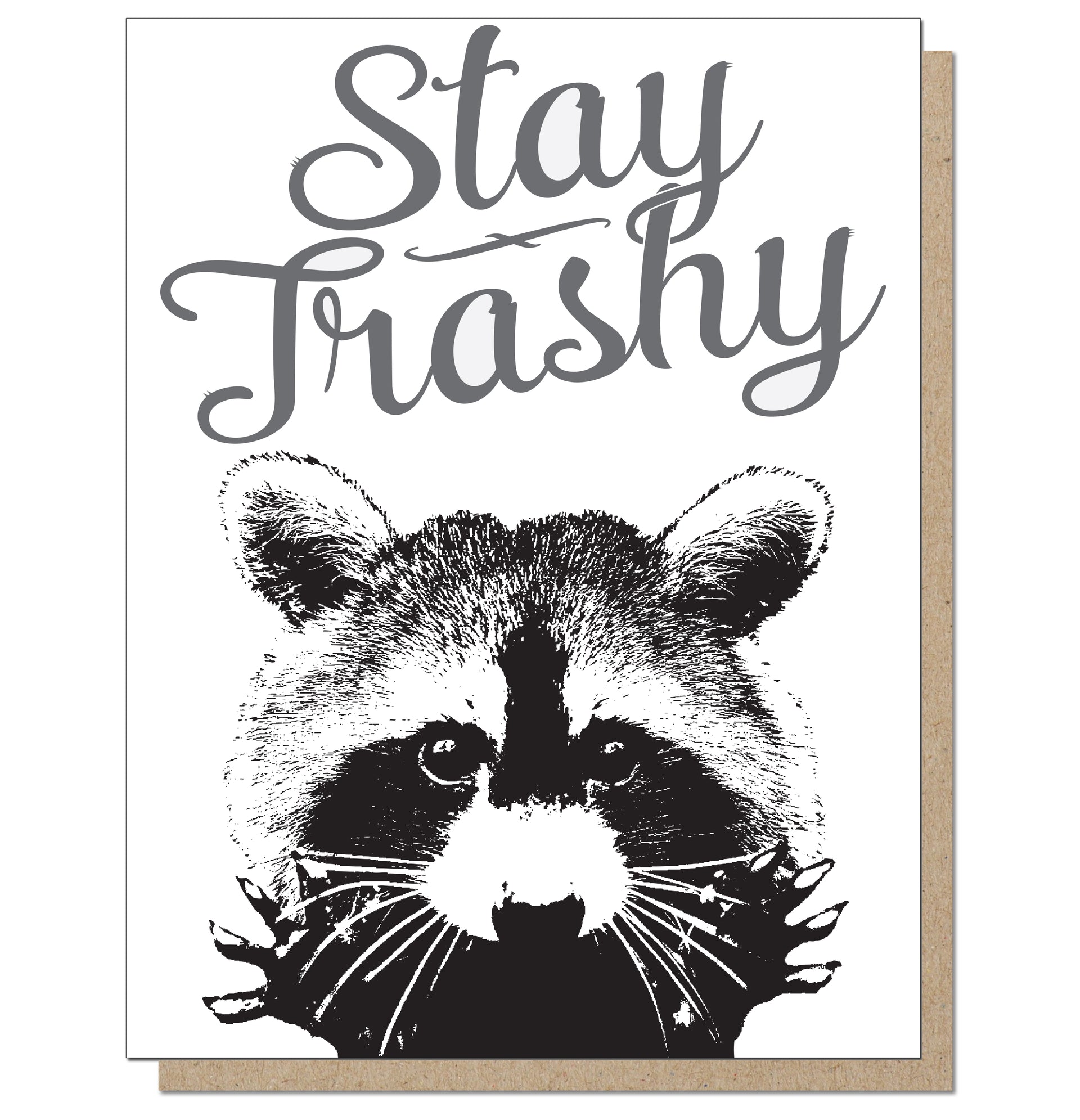 raccoon card sleeves Ryker main image 1