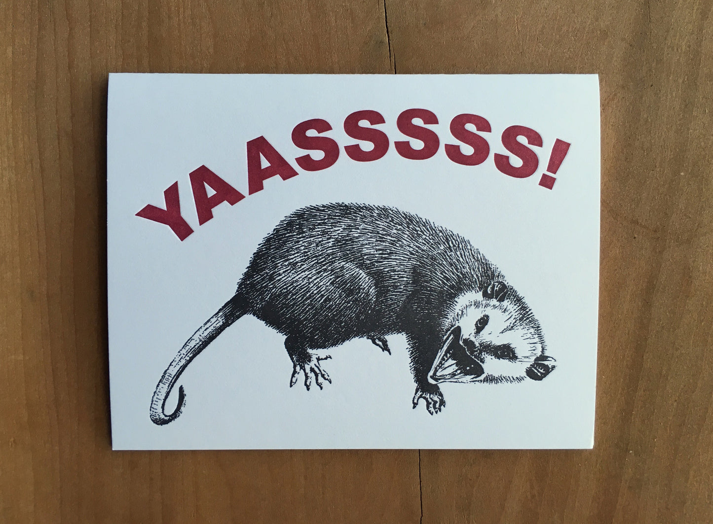 Yas Possum